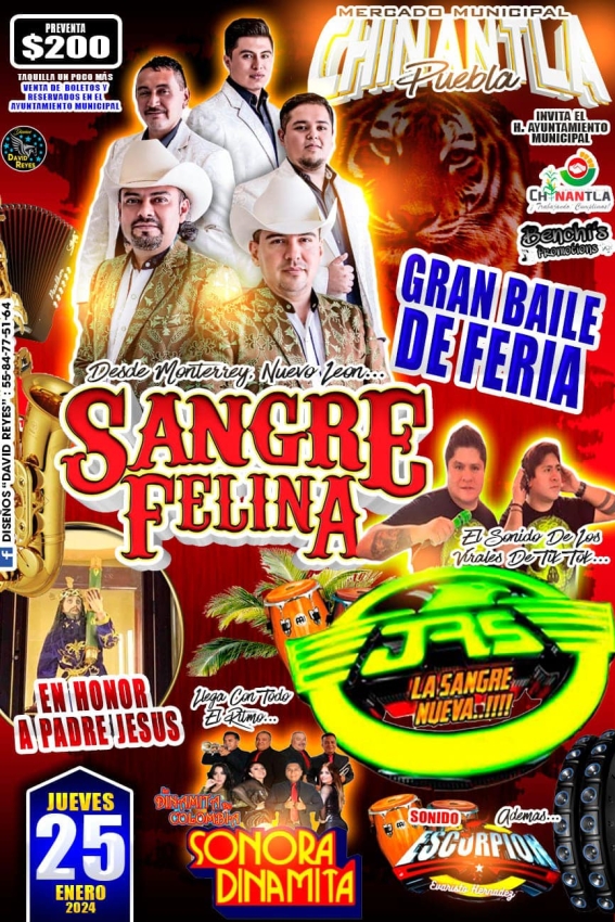 Feria Regional Chinantla 2024 DÓNDE HAY FERIA