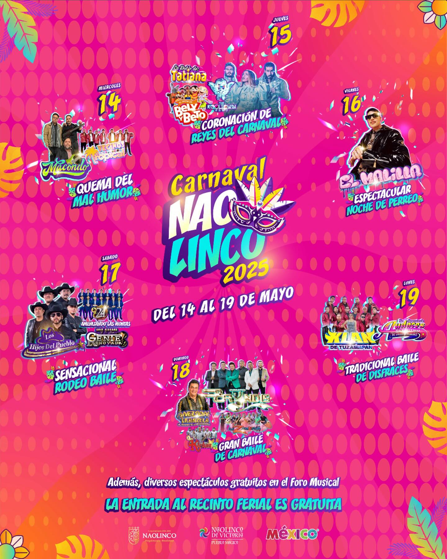 Carnaval Naolinco 2025