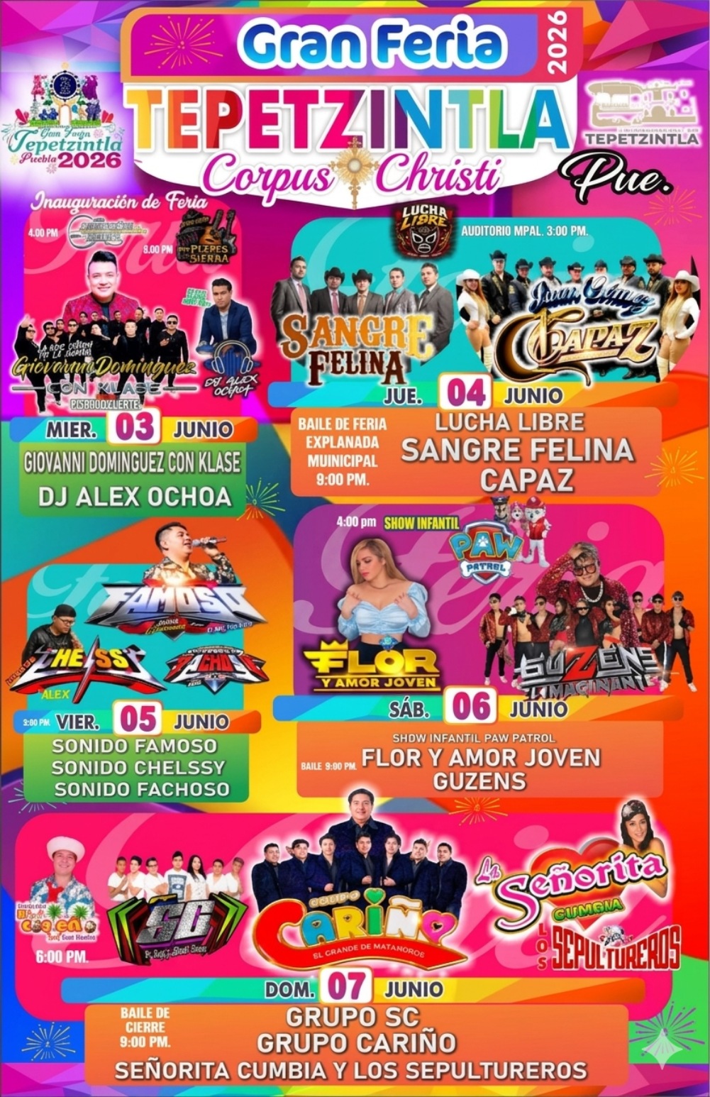 Cartelera artística Gran Feria Patronal Tepetzintla 2026